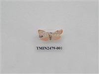 藏品(彎拐美苔蛾)的圖片